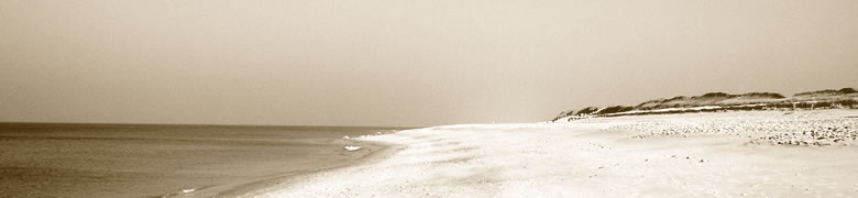 Taichi Schule Frankfurt