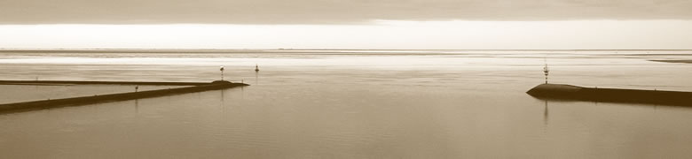 Taichi Schule Frankfurt