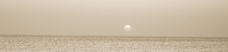 Taichi Schule Frankfurt