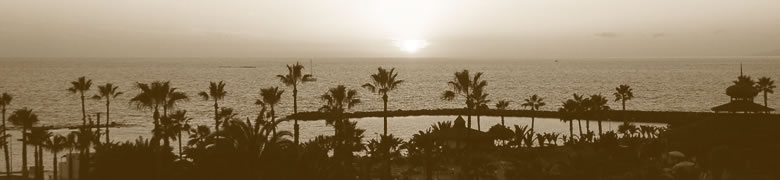 Taichi Schule Frankfurt