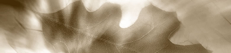 Taichi Schule Frankfurt